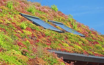 Westward Ho living roof systems